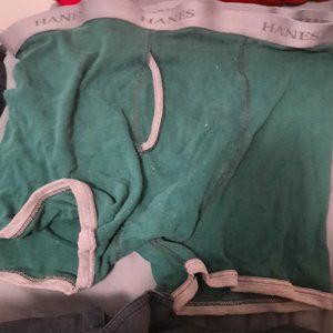 L underwear (Haines)